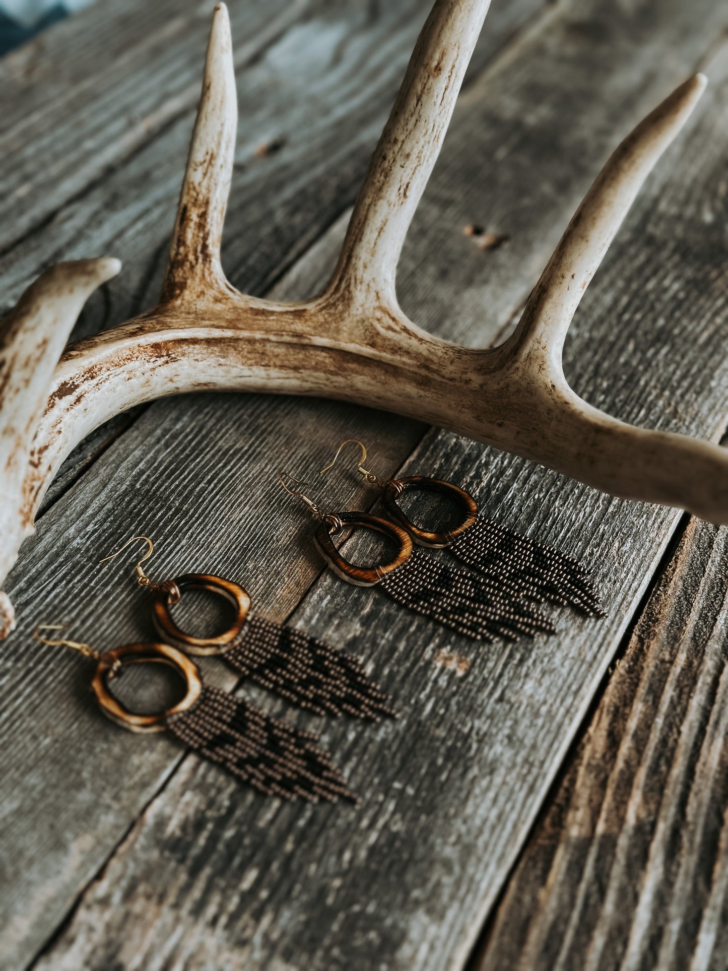 Ring-necked Pheasant Burnt Antler Earrings
