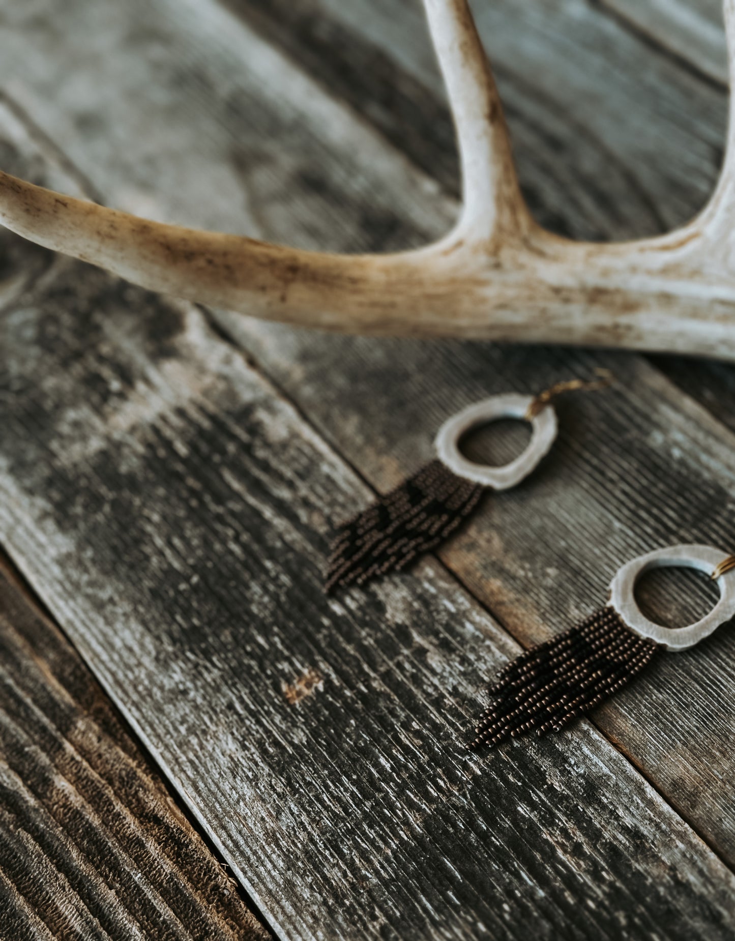 Ring-necked Pheasant Antler Minis