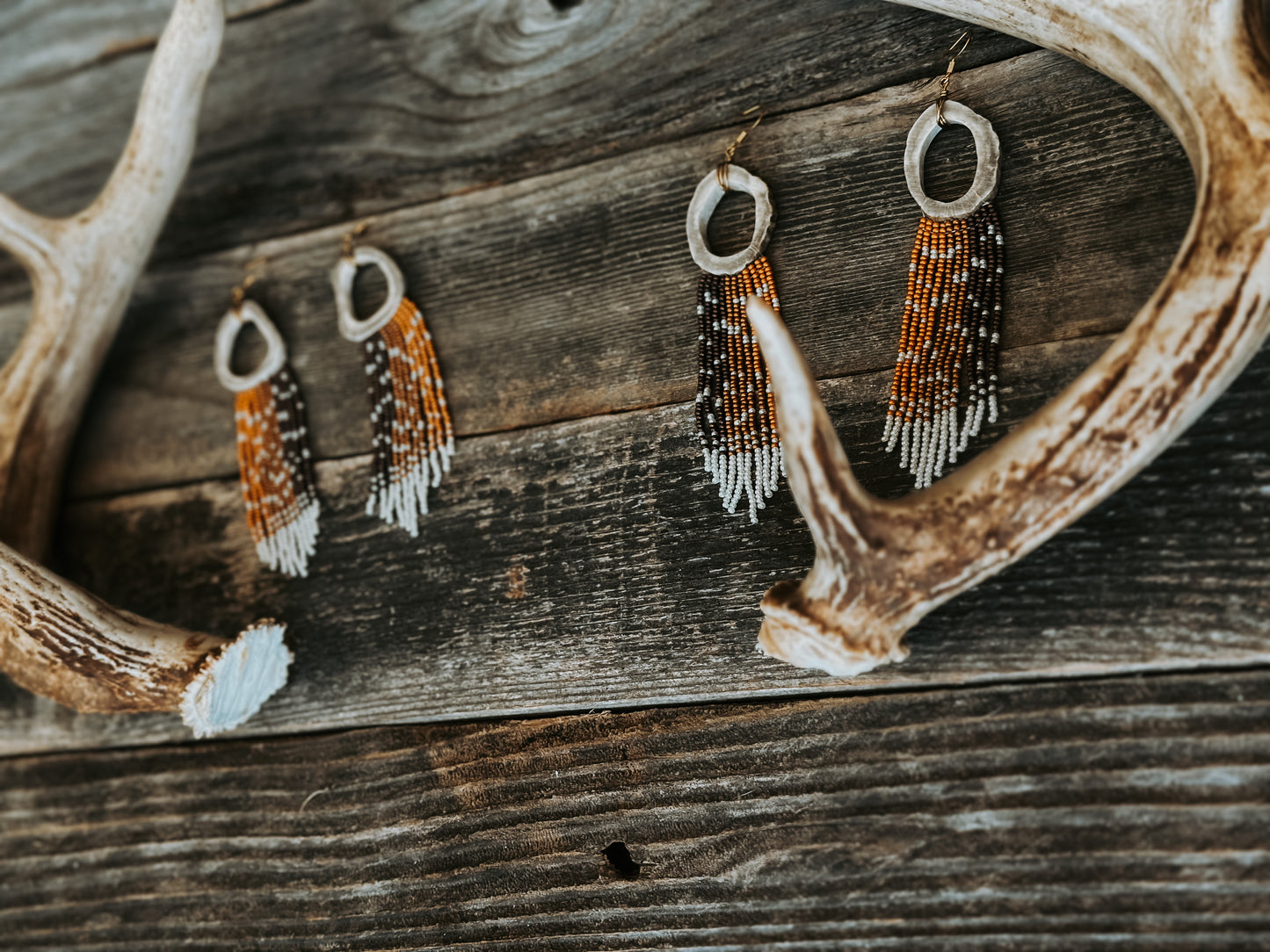 Fawn antler set