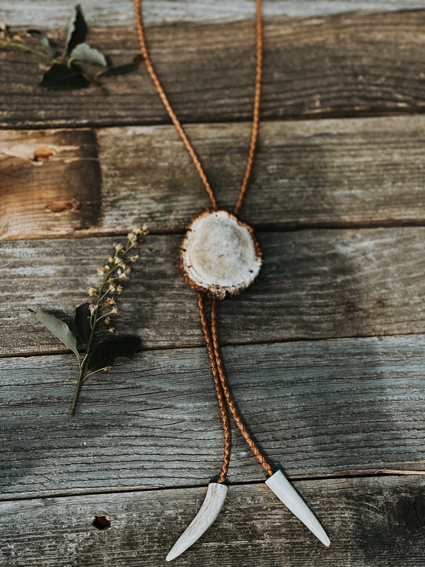 Elk Antler Bolo-02