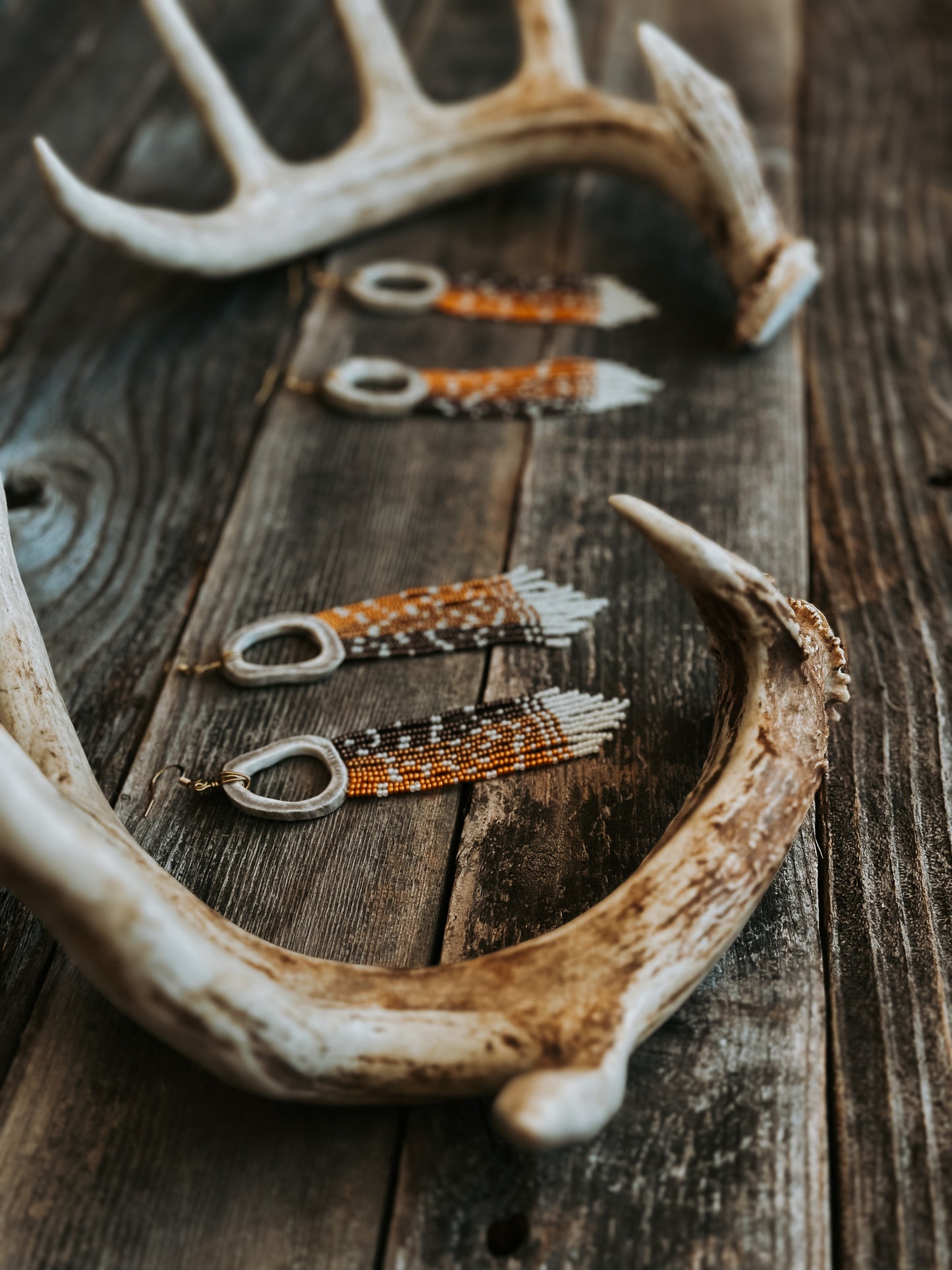 Fawn antler set