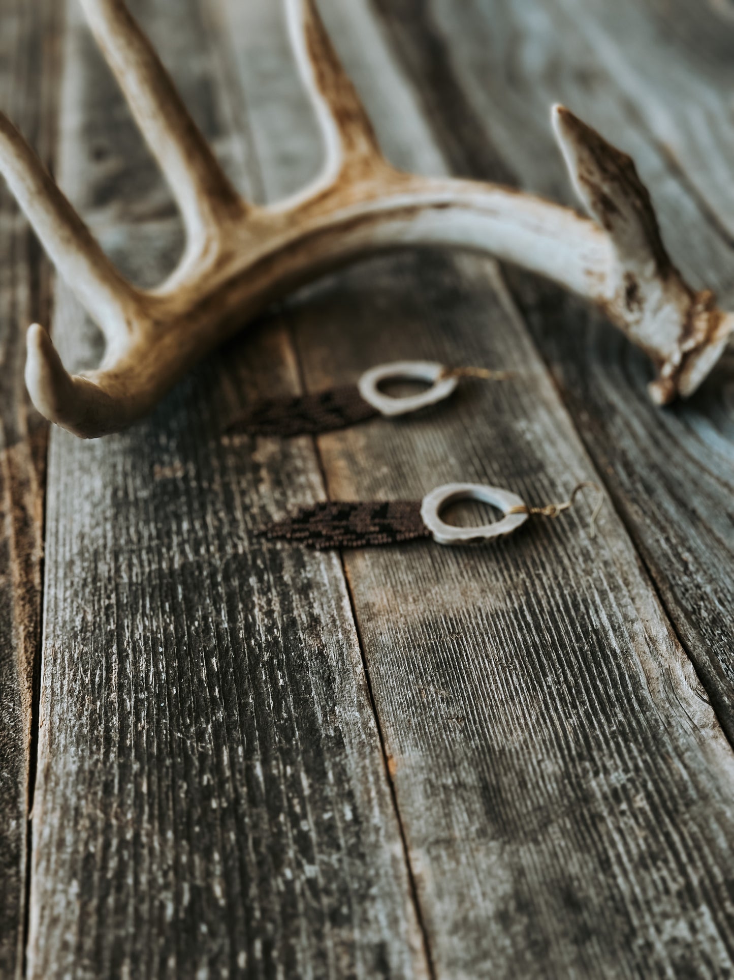 Ring-necked Pheasant Antler Minis