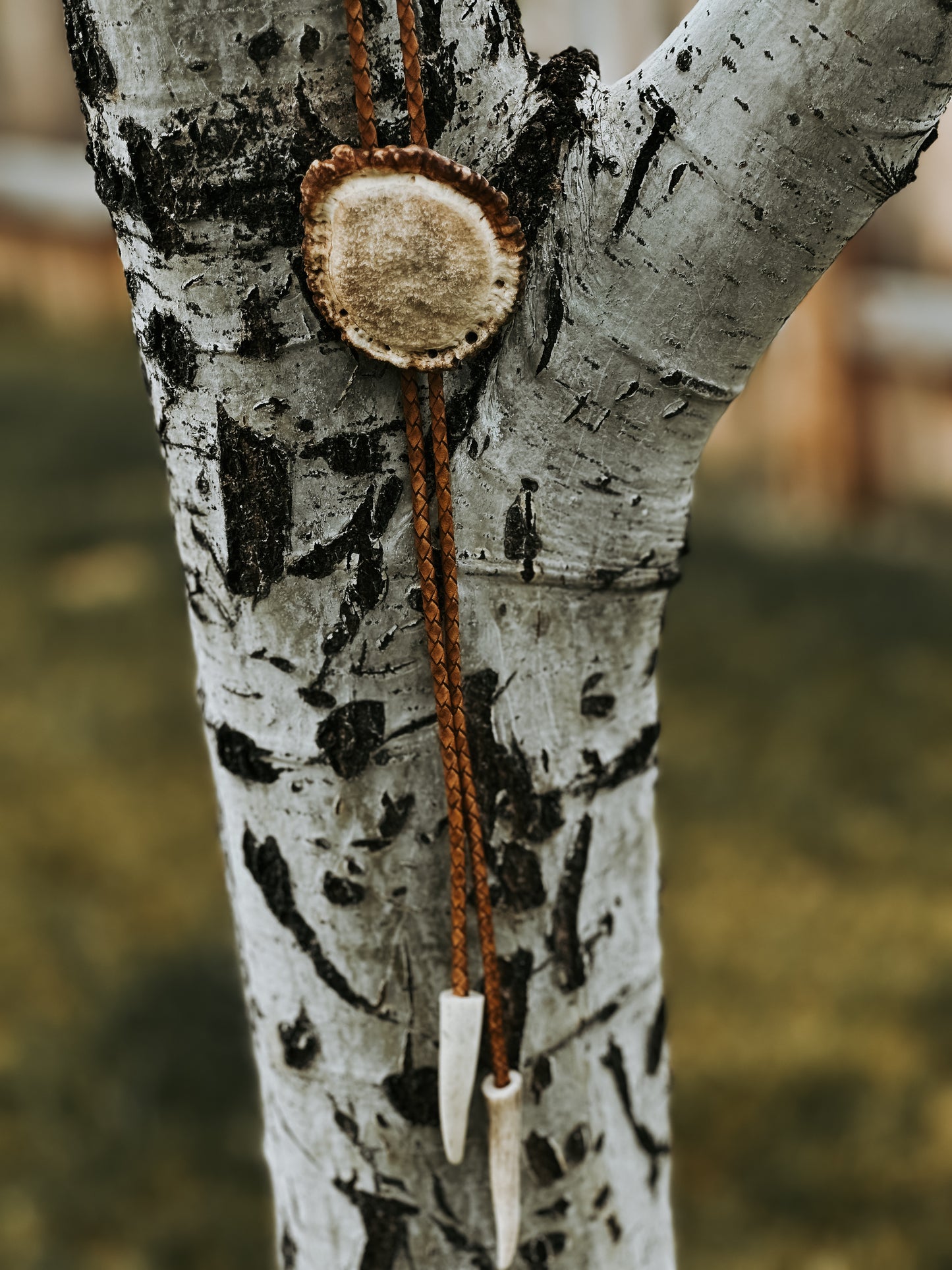 Elk Antler Bolo-02